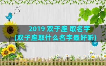 2019 双子座 取名字(双子座取什么名字最好听)